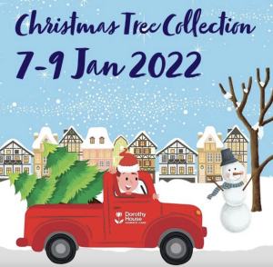 Dorothy House Hospice Christmas Tree Charity Collection